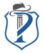 Palmer Law Group, P.C. Logo